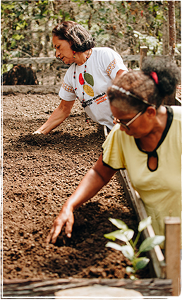 Quintais Agroecológicos