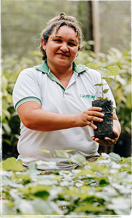 Introdução de <br />
práticas de <br />
agrofloresta